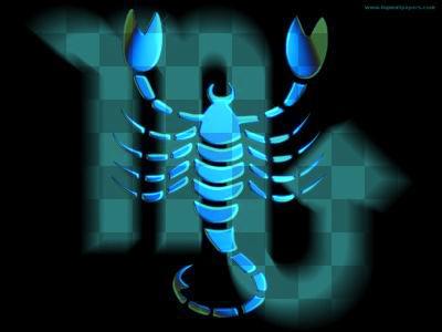 Scorpion 